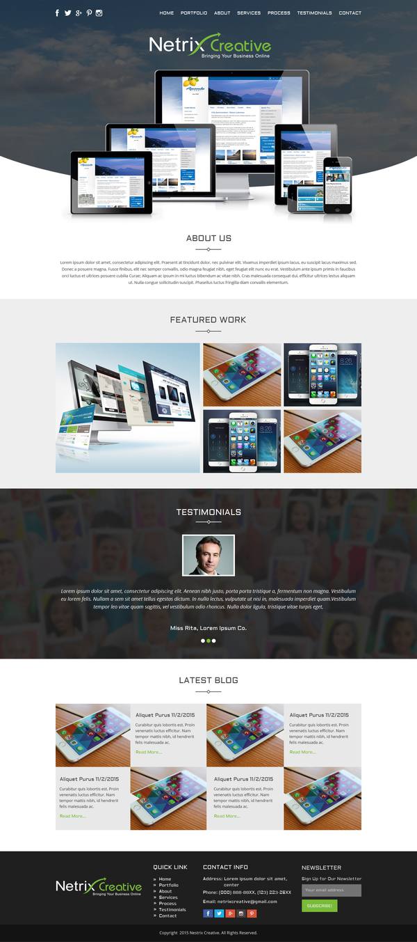 Netrix Creative website design